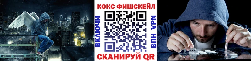 как найти наркотики Балаково Cocaine Fish Scale