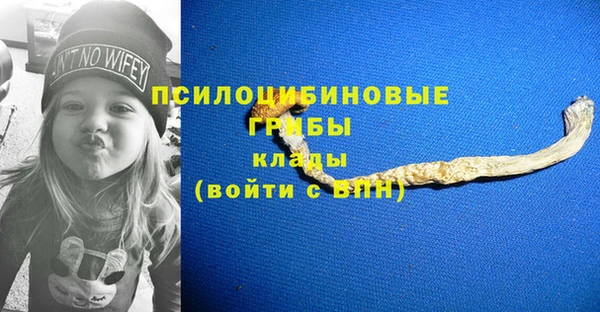 бошки Бугульма