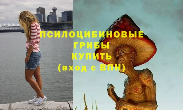 экстази Бронницы