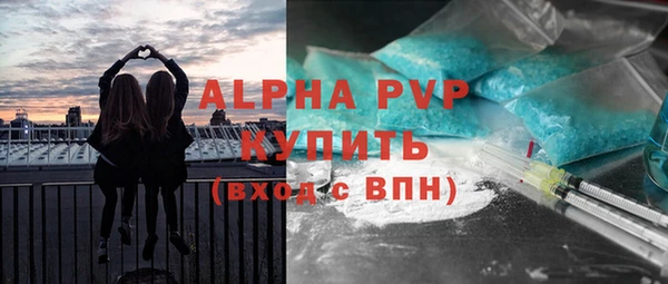 экстази Бородино