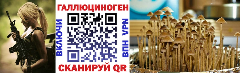 Псилоцибиновые грибы прущие грибы  купить наркоту  OMG tor  Балаково 